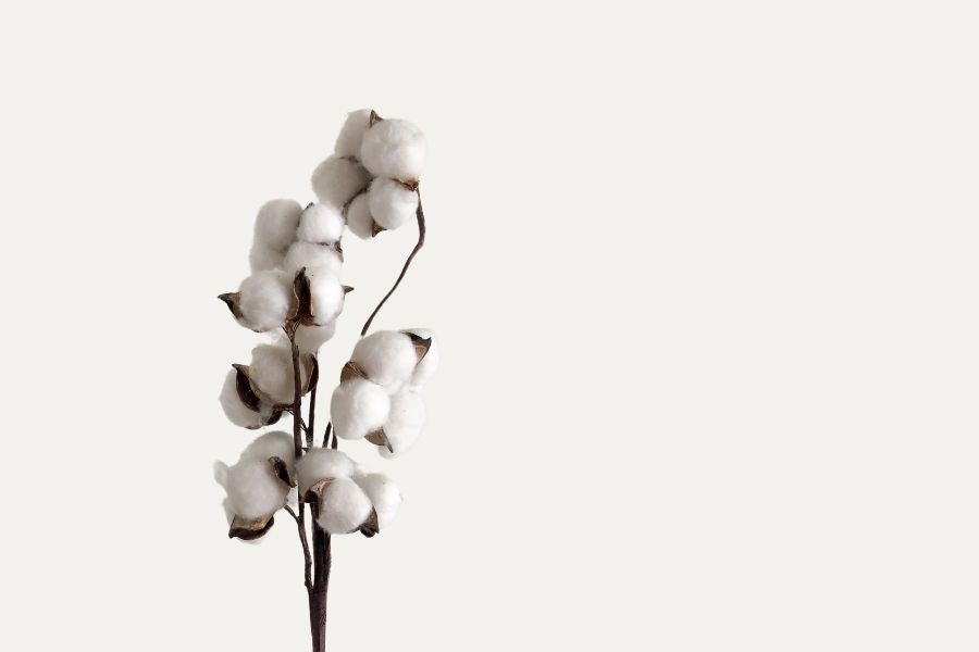 Why Muslin Cotton is the Best Choice for Newborns